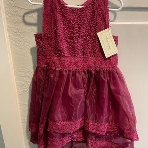 Scully Fuchsia Lace Dress